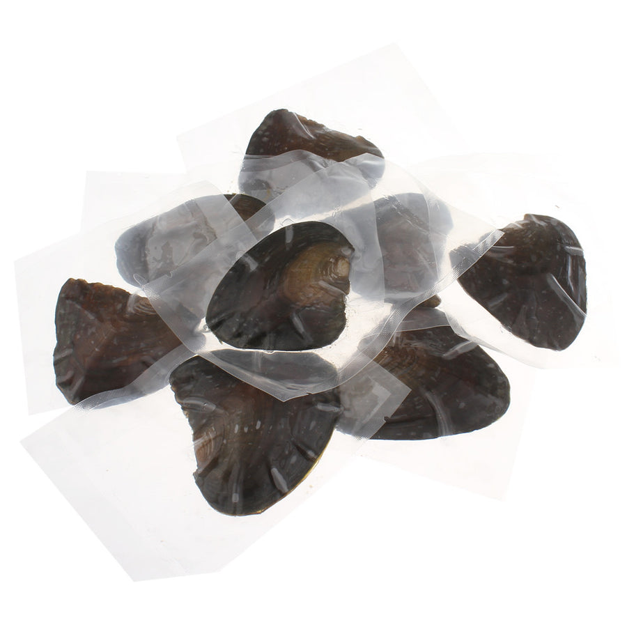 Freshwater Vacuum-packed Oyster With Pearls