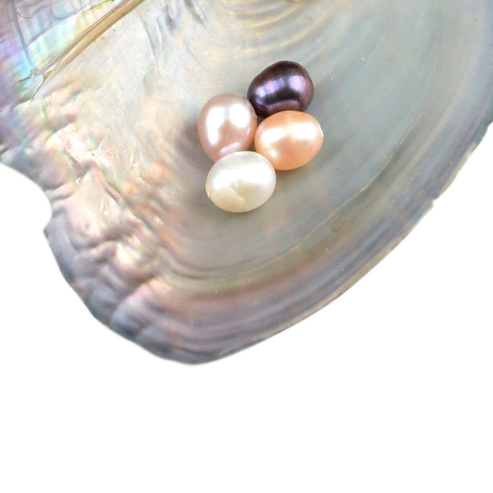  50Pcs Freshwater Cultured Pearl, Natural Oval Oyster